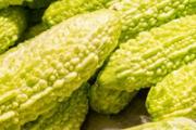 苦瓜茶可以降火吗 苦瓜茶可以长期喝吗