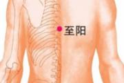 男性拔罐的位置图图解 拔罐拔哪个位置能壮阳