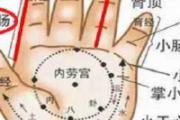 小儿推拿清大肠的手法 清大肠经小儿推拿图