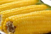 除湿吃什么食物好 除湿气先调整饮食结构