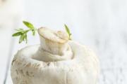 菌类没熟吃了会怎样 菌类可以隔夜吃吗