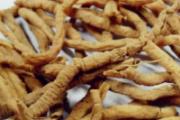 精力不足吃什么补 三味中草药泡茶喝