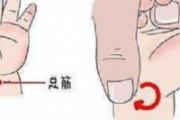 总筋的准确位置图 总筋的作用