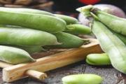 蚕豆可以降血压吗 高血压能吃蚕豆吗