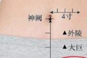 水道的作用与功效 水道准确位置图片