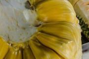 菠萝蜜外壳发霉能吃吗 外壳怎么发霉的不能吃？