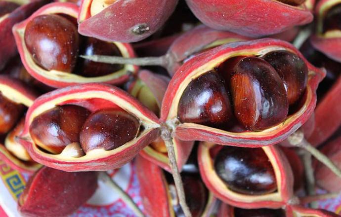 是红色的搜索结果-乐哈健康网