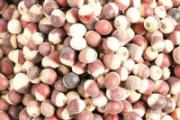 芡实泡水喝的功效与作用 芡实泡水喝一次放多少合适