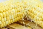 玉米须能降血糖吗 玉米须煮水的做法