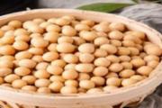 黄豆怎么选 吃黄豆有什么好处