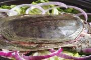 黄花菜甲鱼汤有什么营养价值 黄花菜甲鱼汤的功效与作用
