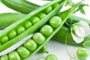 豌豆有什么营养价值 豌豆的营养价值及食用禁忌