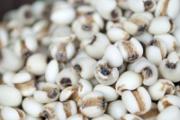 水痘的食疗方法