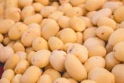 土豆泥放牛奶可以吗 牛奶土豆泥怎么做