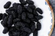 桑葚干是不是属于中药 中药桑葚干怎么是青的