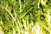 苦菜汤的功效与作用