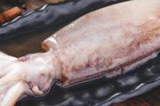 鱿鱼生吃可以吃吗 鱿鱼有什么食用功效