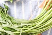 空心菜什么季节有 空心菜冬天有吗