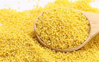 小米搭配什么吃最好 小米有哪些颜色