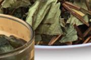 鱼腥草叶子煮水的功效与作用