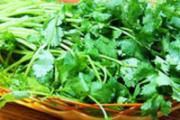 孕妇能吃香菜吗 孕妇吃香菜有哪些注意事项