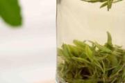 绞股蓝可以和绿茶一起喝吗 绞股蓝和什么搭配吃最好