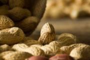 花生和什么不能一起吃 4种食物一定要注意