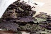 紫苏泡澡对儿童的功效与作用 紫苏泡澡对感冒有用吗