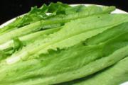 吃油麦菜有什么好处