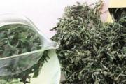 艾草茶的功效 喝艾草茶，排出体内寒与湿
