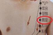 膺窗的准确位置图 膺窗在乳中的上几寸