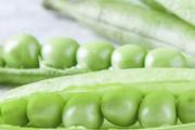 豌豆米出芽可不可以吃 豌豆外壳发霉了还能吃吗