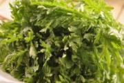 茼蒿可以降血糖吗 糖尿病人可以吃茼蒿吗