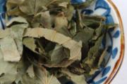 淫羊藿的功效与作用