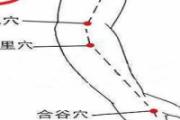 手五里的准确位置图 手五里的功效及作用