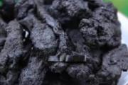熟地黄可以煲汤吗 熟地黄煲汤放多少