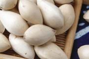 白果是什么 白果是开心果吗