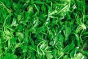 荠菜包饺子需要焯水吗 有什么好处，怎么做呢？
