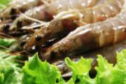 吃海鲜不能吃什么 吃海鲜注意7大禁忌