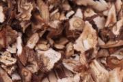 蒲公英泡澡功效与作用 蒲公英洗澡怎么煮