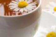 菊花茶泡久了为什么变绿