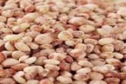 高粱米热量高吗 高粱米的热量是多少