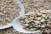 薏苡仁和薏米一样吗 薏苡仁吃多了会怎么样