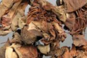 肝硬化食疗方法
