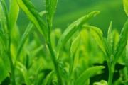春天冰箱温度调到几档 想省电，就得这么调温度！