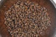 决明子茶和苦荞茶的区别 决明子茶和苦荞茶能一起喝吗