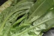 夏季感冒吃什么 四种蔬菜治疗夏季感冒