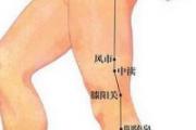 环跳疼痛是怎么回事 环跳的作用与功效
