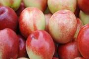 油桃小孩可以吃吗