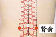 肾结石按摩哪个部位